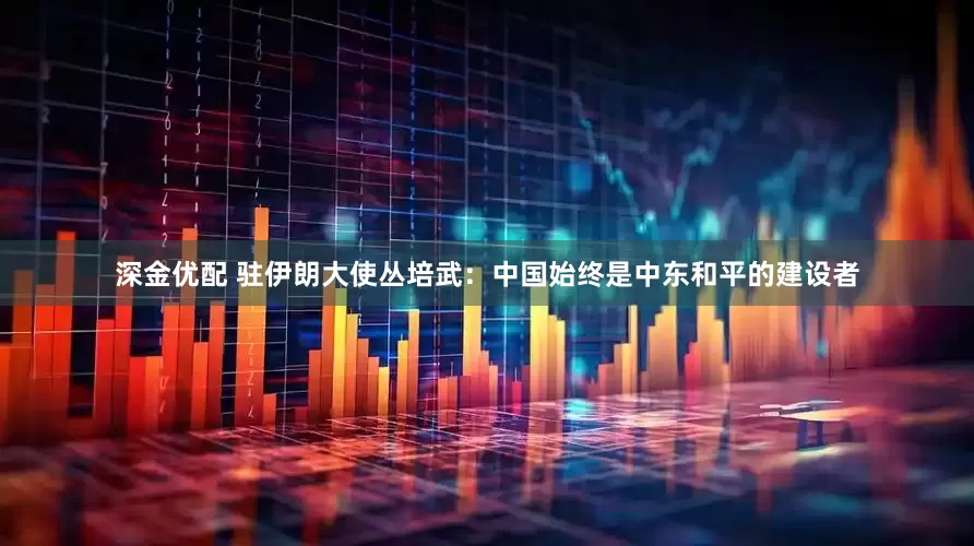 深金优配 驻伊朗大使丛培武：中国始终是中东和平的建设者