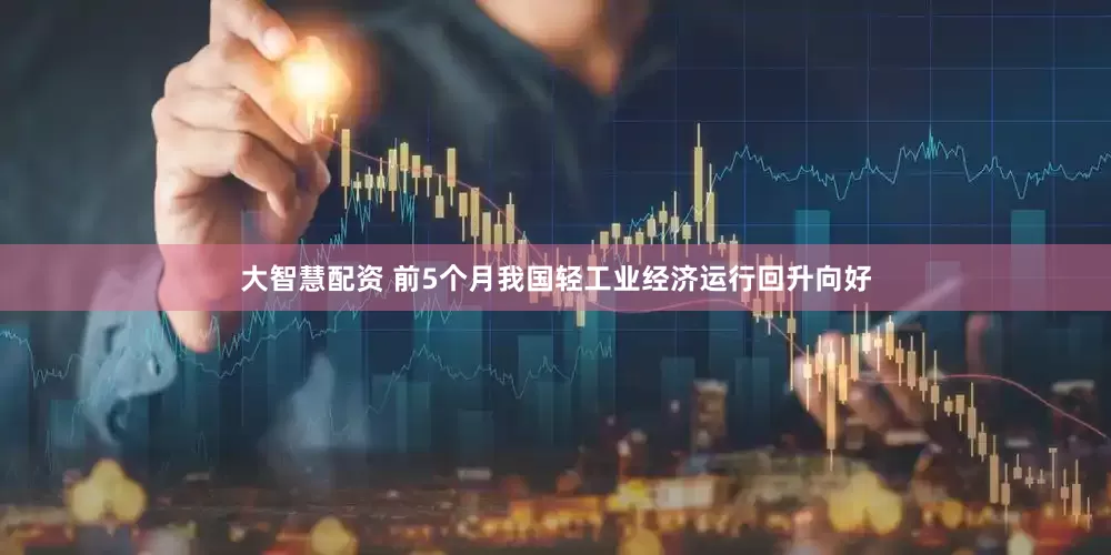 大智慧配资 前5个月我国轻工业经济运行回升向好