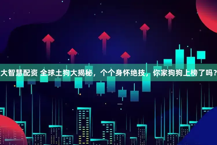 大智慧配资 全球土狗大揭秘，个个身怀绝技，你家狗狗上榜了吗？
