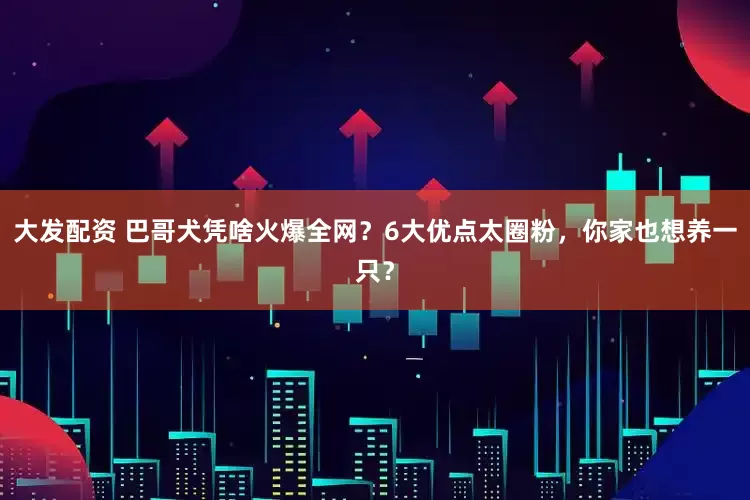 大发配资 巴哥犬凭啥火爆全网？6大优点太圈粉，你家也想养一只？