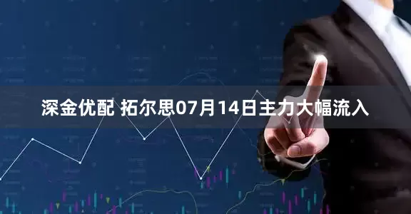 深金优配 拓尔思07月14日主力大幅流入