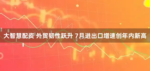 大智慧配资 外贸韧性跃升 7月进出口增速创年内新高