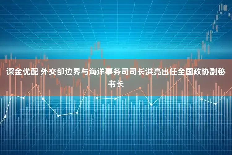 深金优配 外交部边界与海洋事务司司长洪亮出任全国政协副秘书长