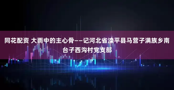 同花配资 大雨中的主心骨——记河北省滦平县马营子满族乡南台子西沟村党支部